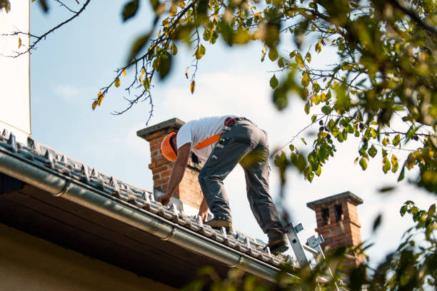 Best Roof Gutter Cleaning  in Cherry Valley, IL